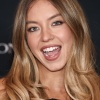 s_0043.jpg