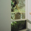 d_0010.jpg